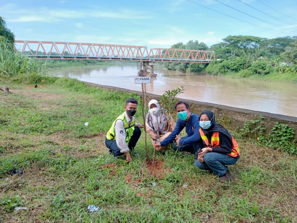 PAMA tanam Pama bersama DLH Muara Enim Tanam pohon di Pinggir Sungai Lematang