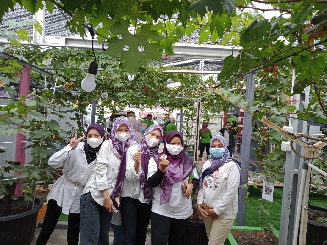 Pengunjung Agrowisata Anggur Bima Zacki Muara Enim