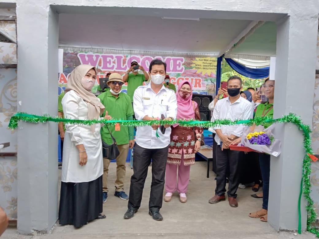 anggur1 Pemotongan pita tanda secara resmi Agrowisata Bimna Zacky resmi dibuka