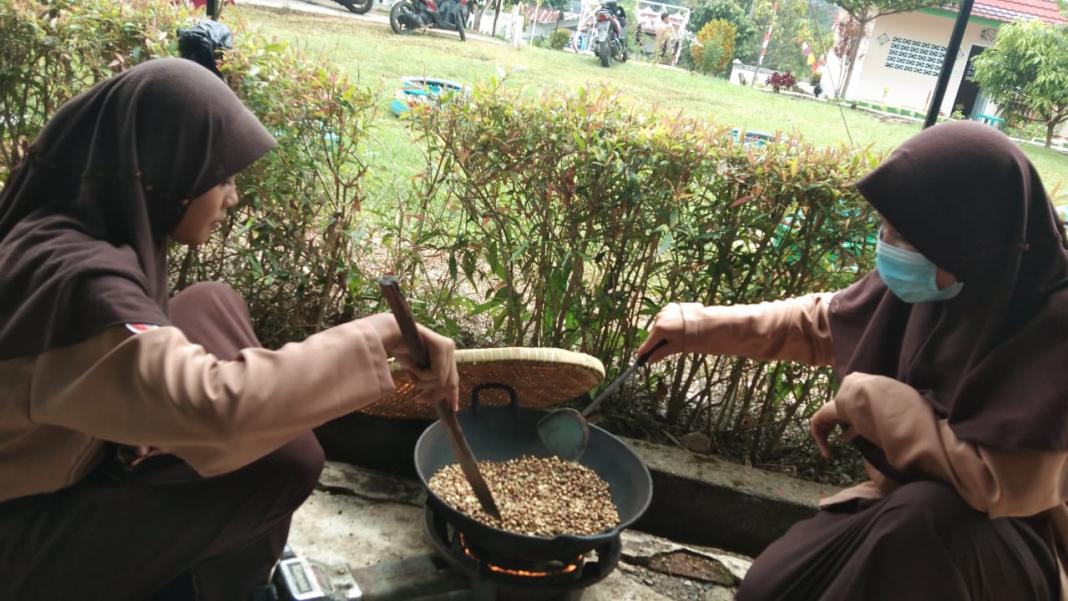 Siswa SMPN 1 SDL tengah mengolah kopi Semendo menjadi bubuk