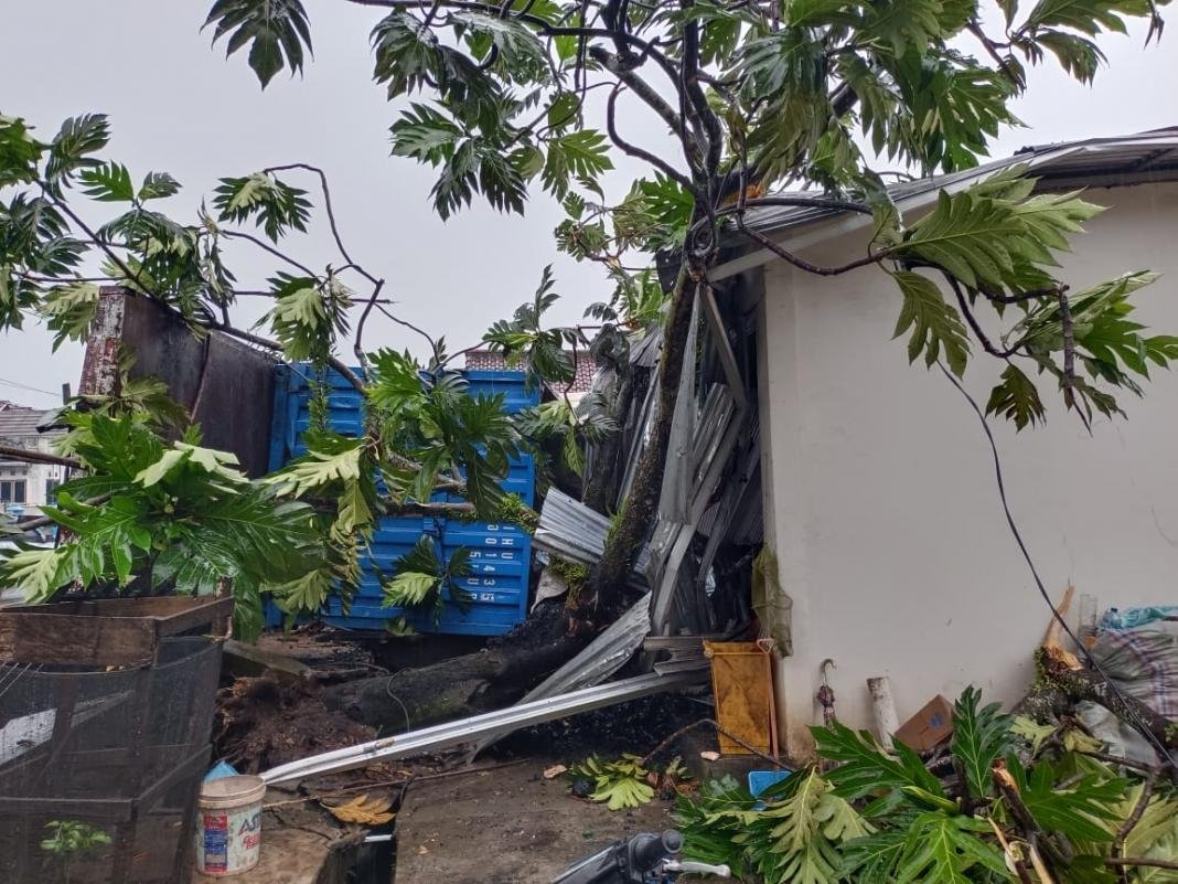 Kendaraan Tua Tak Layak Operasi dan Mengangkut Batubara Kendaraan Tua Tak Layak Operasi dan Mengangkut Batubara