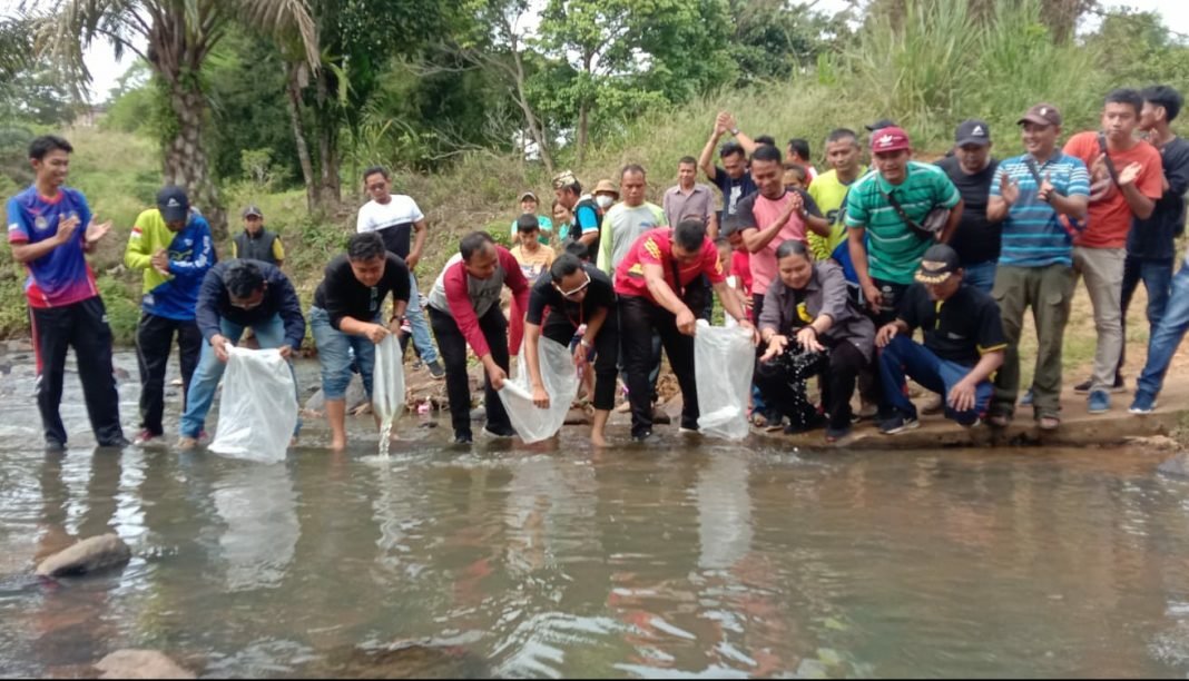 WhatsApp Image 2022-06-11 at 18.25.06~1 Ini Alasan Karang Taruna Kota Lubuklinggau Tebar 3.000 Bibit Ikan