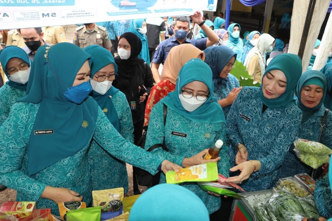 Ketua Tim Penggerak PKK Provinsi Sumsel Kunjungi Benakat