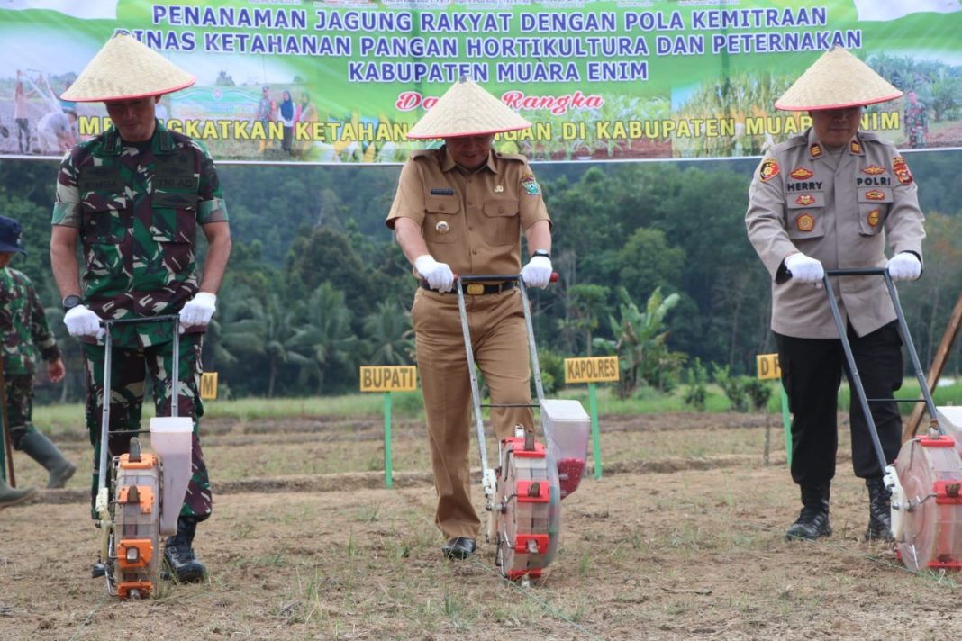 Dukung Ketahanan Pangan, Pj. Bupati Muara Enim Tanam Jagung Perdana