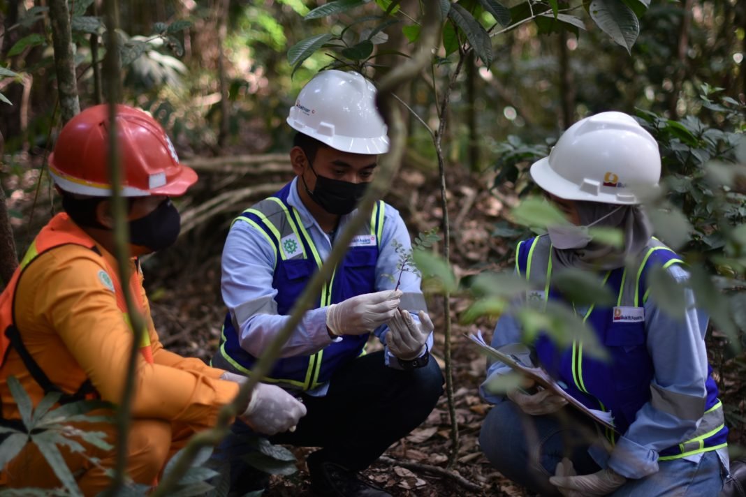 Total Area Reklamasi PTBA Capai 2.144,26 Hektar Per Juni 2022