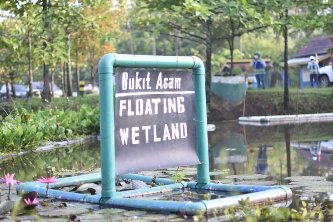 WhatsApp Image 2022-08-08 at 14.00.43 Manfaatkan Tanaman Akar Wangi untuk Bersihkan Air Asam Tambang