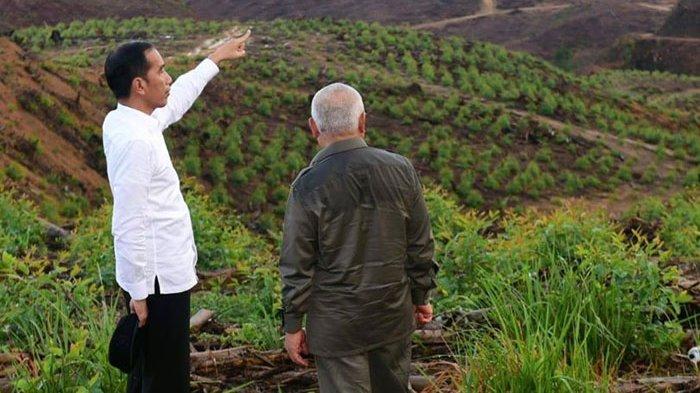 Pensiun jadi Presiden, Jokowi Bakal Dapat Jatah Tanah 1.500 M2