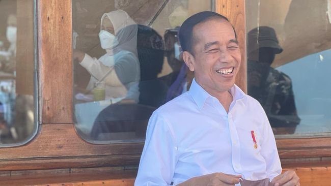 Presiden Jokowi: Masyarakat Tak Perlu Panik Hadapi Cacar Monyet