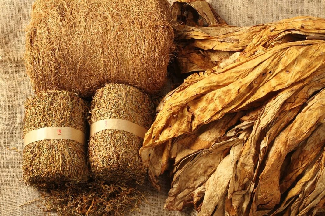 Ternyata Sebatang Rokok Sumbang Rp800 ke Negara