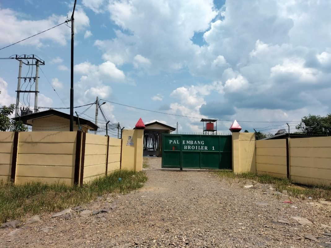 WhatsApp Image 2022-12-28 at 12.38.26