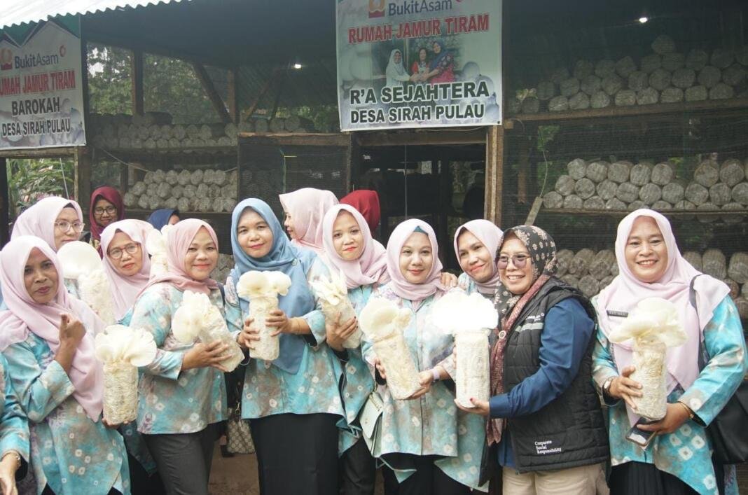 PTBA Berdayakan Para Ibu Rumah Tangga Lewat Budidaya Jamur Tiram